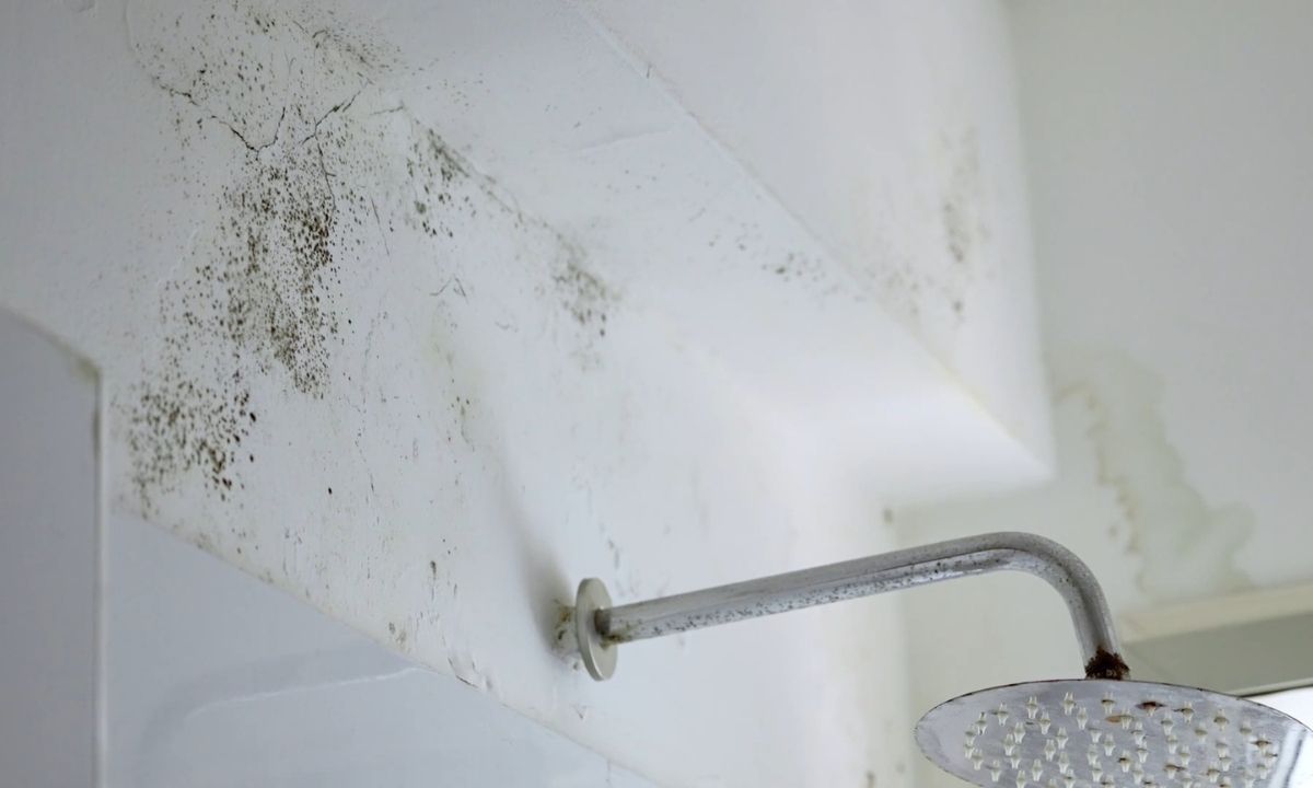 prikaz buđi u kupatilu