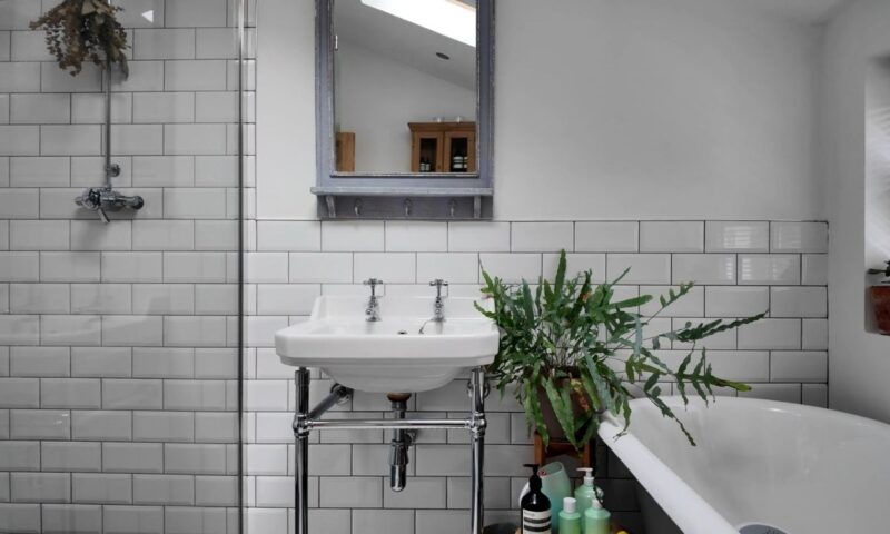 prikaz kupatila sa biljkama