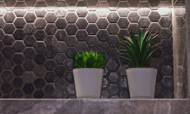 prikaz dve biljke za kuaptilo u različitim saksijama na pločicama 