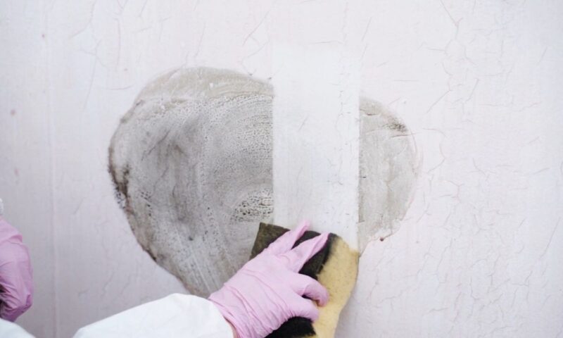 osoba čisti buđavu fleku na zidu